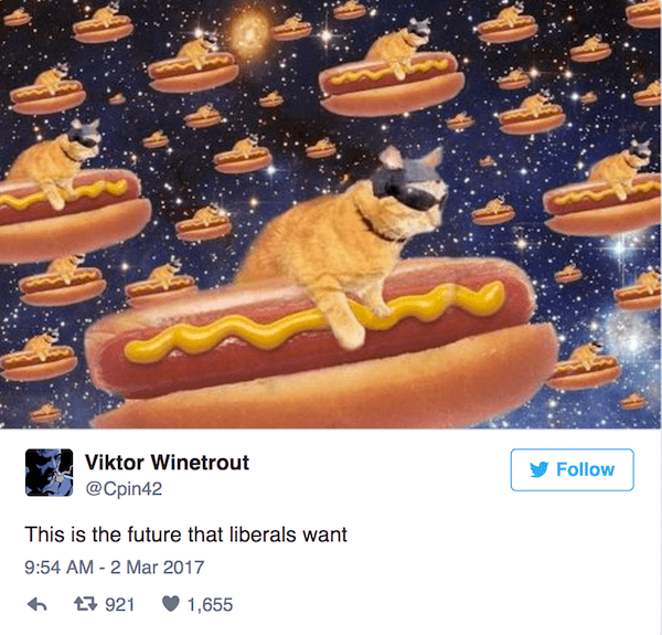 Cat Hot Dog