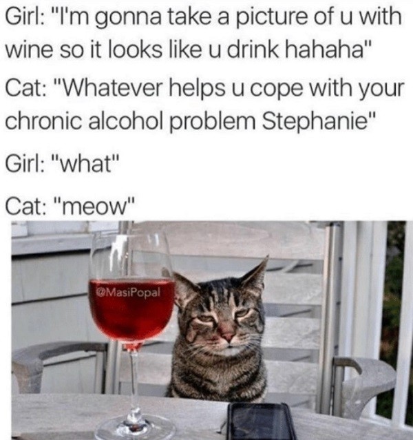 Cat Wine Coping