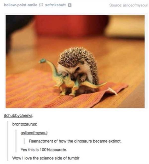 Dinosaur Hedgehog Extinction