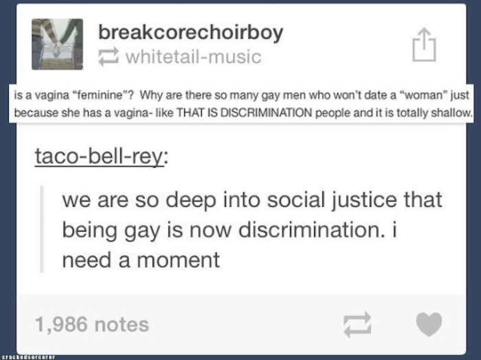 Gay Tumblr Truths Social Justice
