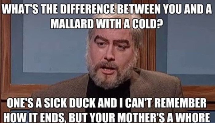 Mallard With A Cold