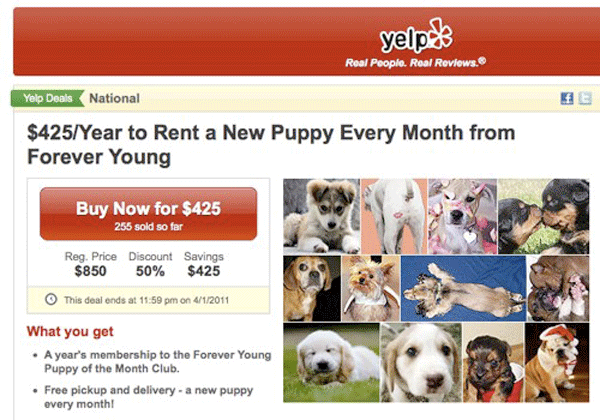 Yelp Rent A Puppy