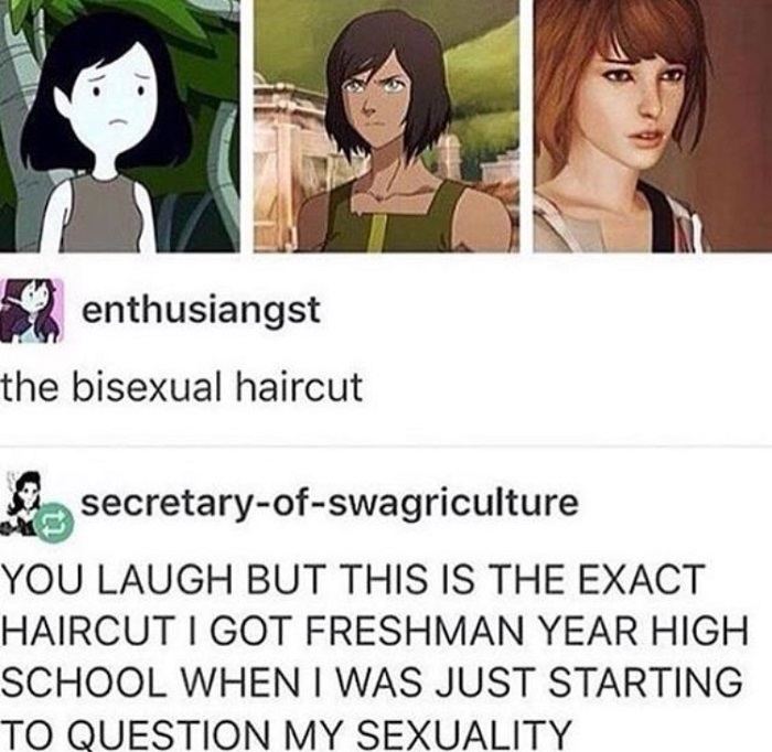 Sexuality Memes Bisexual Haircut