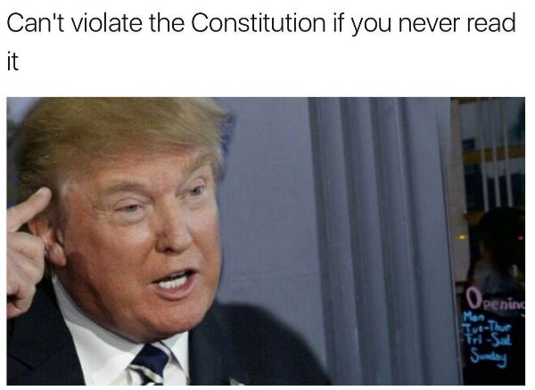 Cant Violate The Constitution
