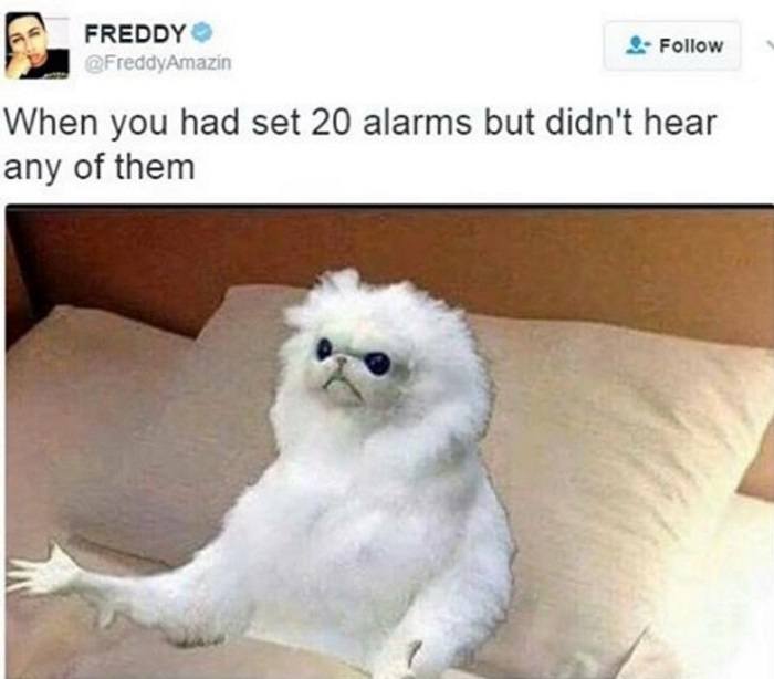 Don't Hear Alarms