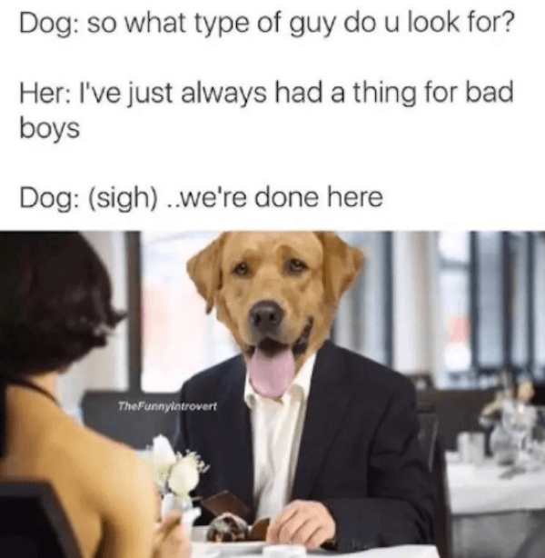 First Date Doggos