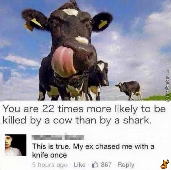 Killed By A Cow