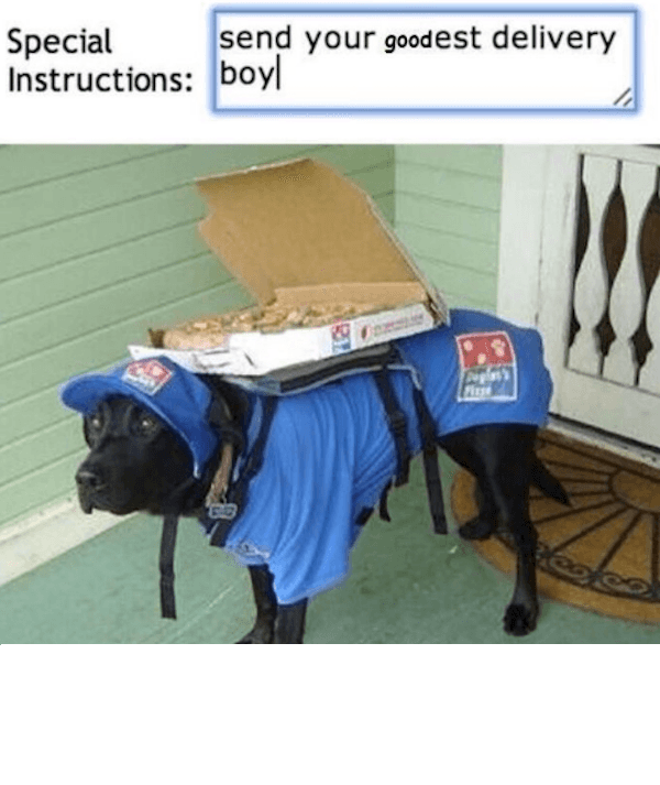 Good Boy Dog Memes
