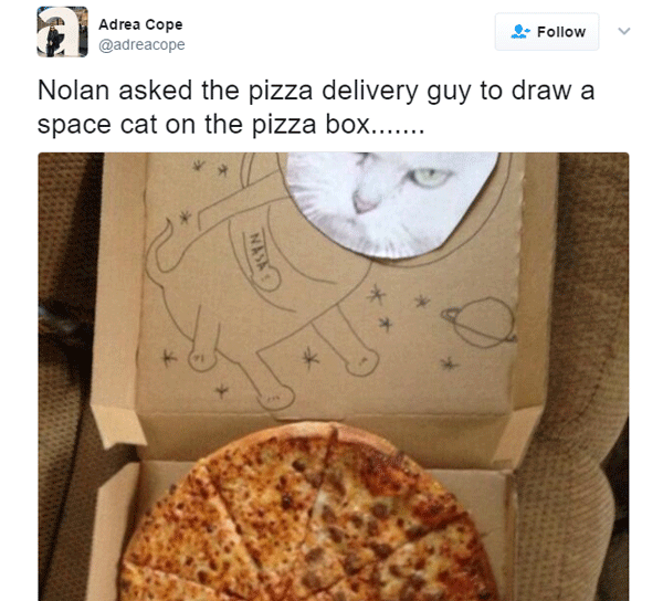 Funny Pizza Box Drawings Space Cat