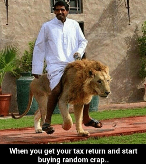 Taxes Funny Lion