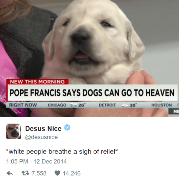 Dogs Can Go To Heaven