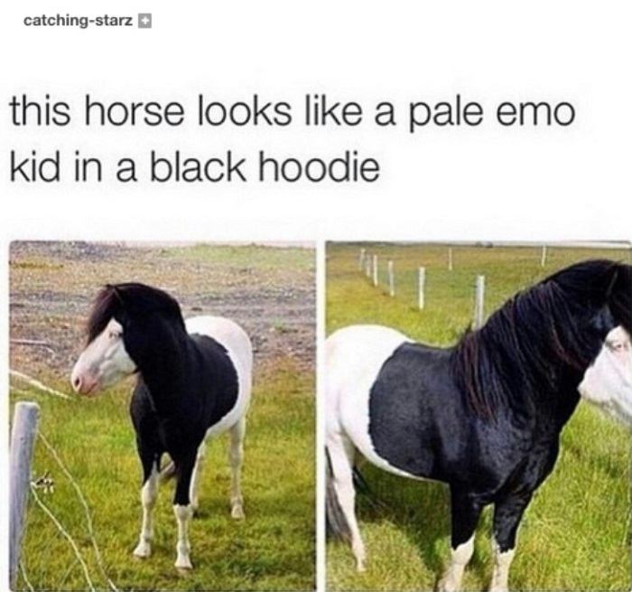 Pale Emo Horse