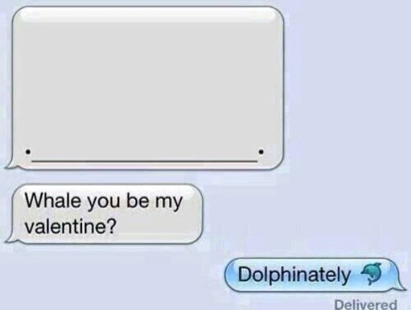 Text Flirting With A Whale