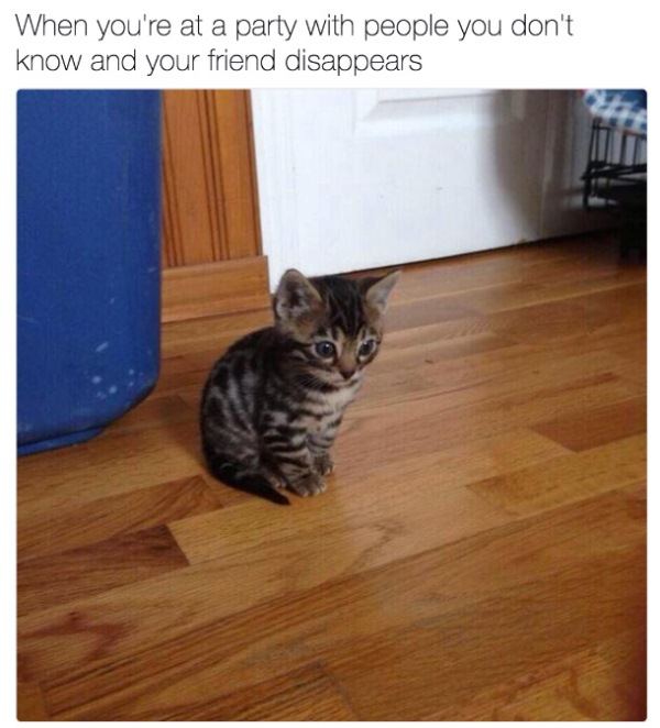 Friend At Party Introvert Memes