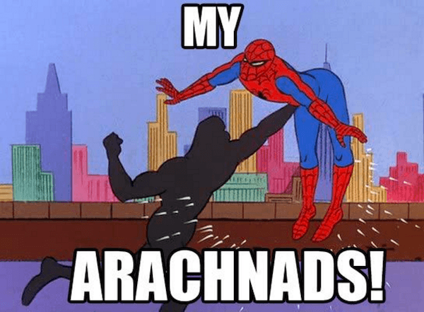Arachnads