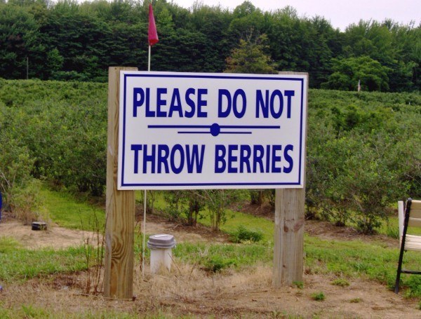 Throw Berries