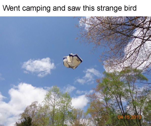 Bird Tent