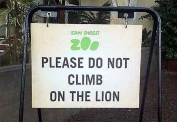 Climb Lion