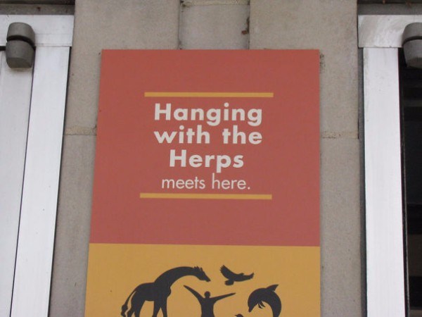 Hanging Herps