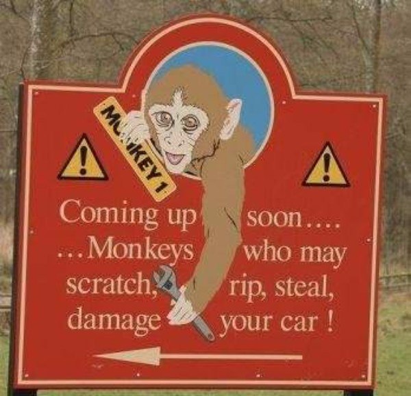 Monkey Cars