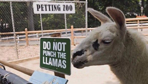 Funniest Zoo Signs
