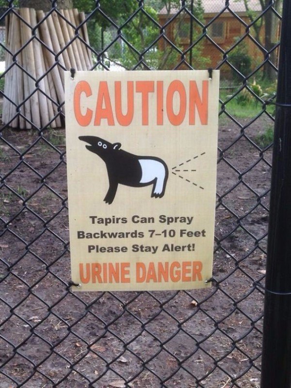 Tapir Urine
