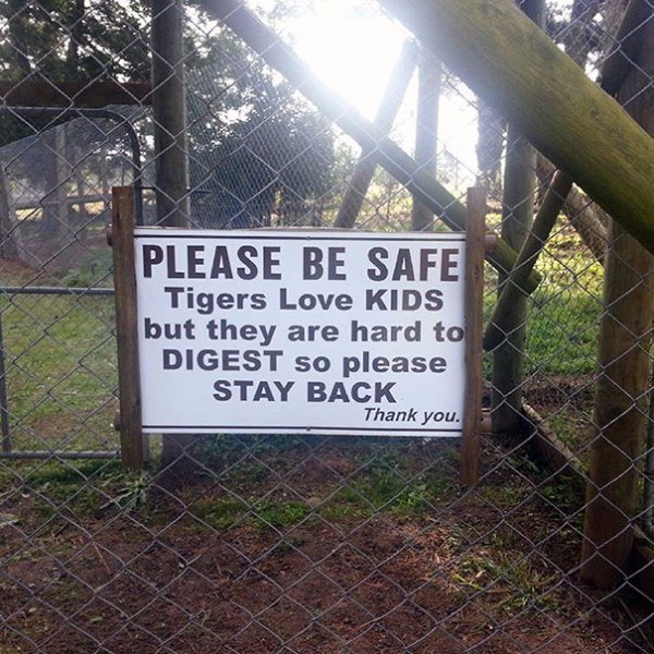 Tigers Kids