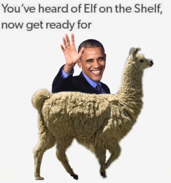 Obama On A Llama