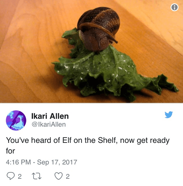 Snail On Kale