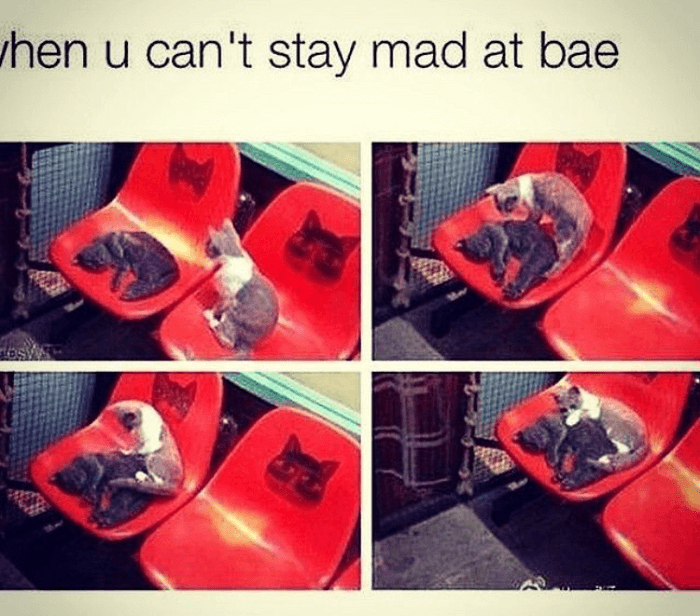Can't Stay Mad