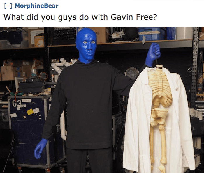 Gavin Free