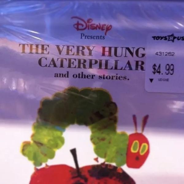 Hung Caterpillar