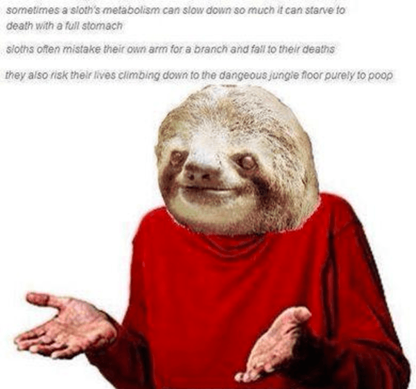 Guess I'l Die Memes Sloth