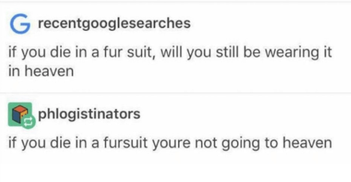 Fur Suit