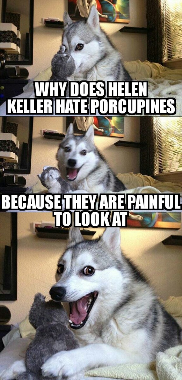 Helen Keller Porcupine