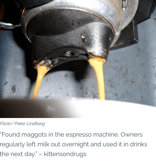 Maggots In The Espresso Machine