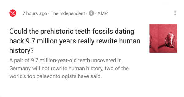 Tooth Fossils