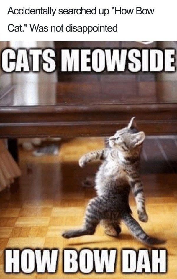 Cats Meowside