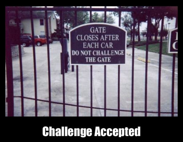 Gate Challenge