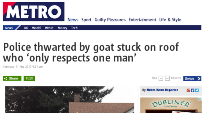 Goat Funny News Headlines