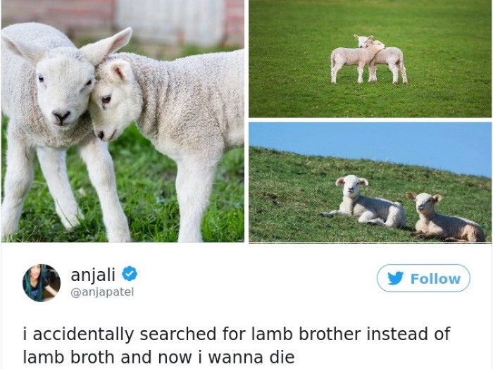 Lamb Brother
