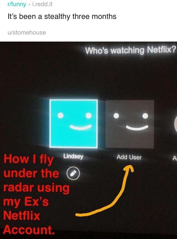 Secret Netflix User