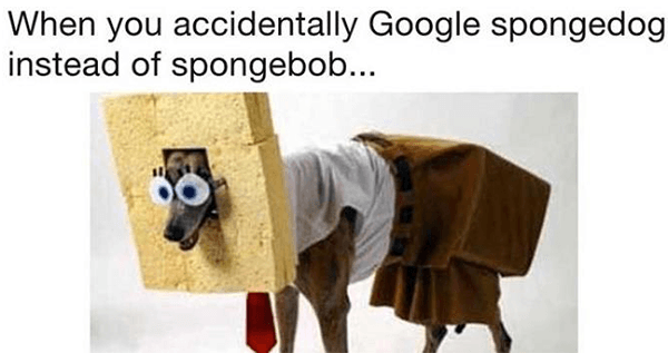 43 Hilarious Google Search Typos That Make Research Fun Again