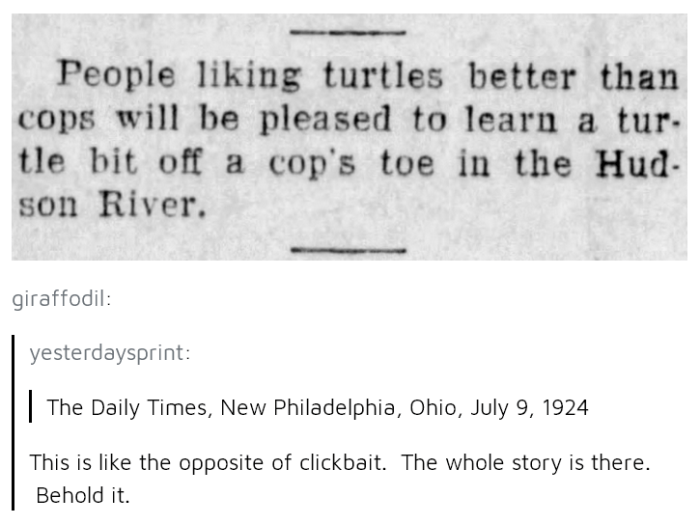 Turtle Bites Off Cops Toe