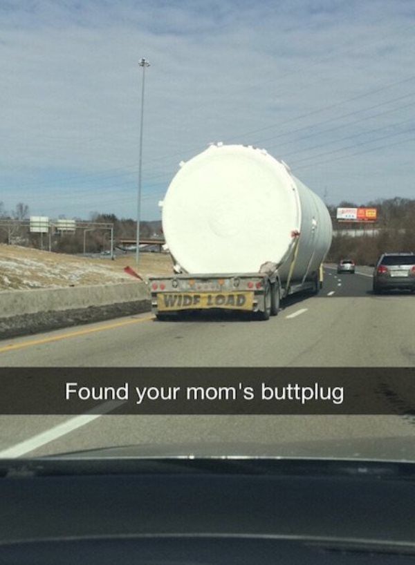 Your Moms Buttplug
