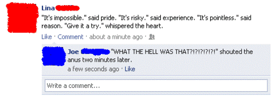 The Funniest Facebook Statuses Ever Posted