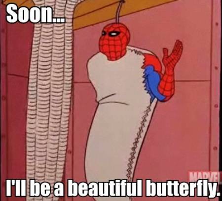 1960s Spidey Meme Butterfly