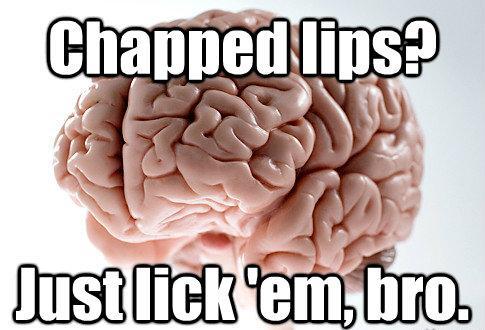 Scumbag Brain Meme Chapped Lips