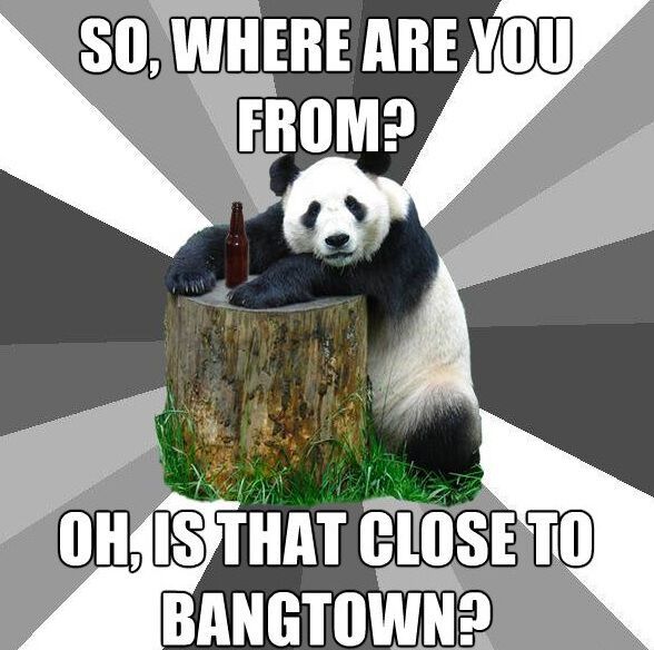 Hilarious Pickup Line Panda Memes