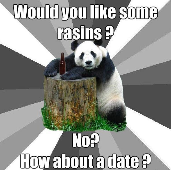 Hilarious Pickup-Line Panda Memes